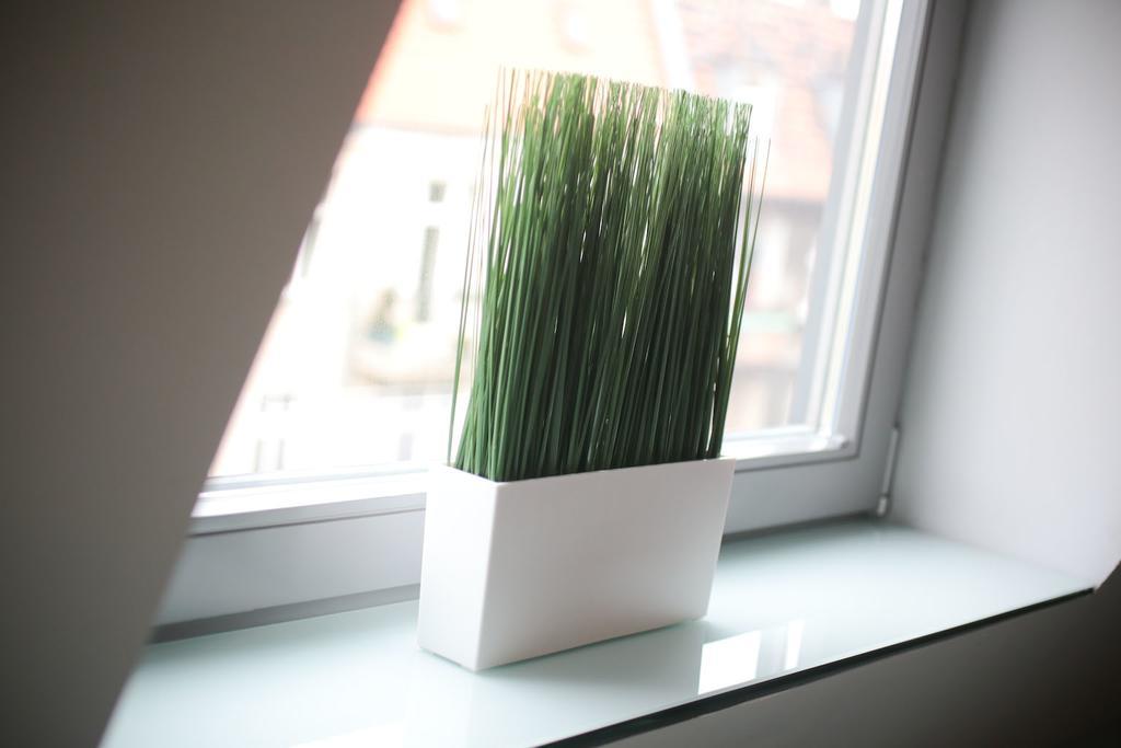35m² studio Appartement, met 1 privé badkamer in Poznan stadscentrum Buitenkant foto